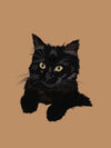 Chaton