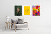 tableau-acoustique-pivoine