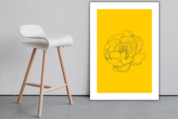Pivoine